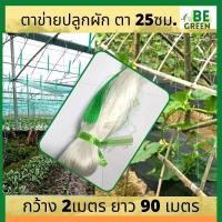 ราคา อวนแตง 2x90ม.ไนล่อน ค้างปลูกผัก ตาข่ายปลูกผัก ตาข่ายแตง ไม้เลื้อย อวนมะระ ค้างแตง ปลูกแตงกวา ผักเลื้อย ปลูกถั่ว (28014438440)