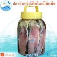 ราคา ปลาอินทรีย์เค็มในน้ำมันพืช (ใหญ่) 1กิโล 1กระปุก ปลาอินทรีย์ ปลาอินทรีย์เค็ม ปลาอินทรีย์ในน้ำมัน (9062876053)