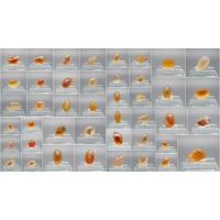 ราคา gobi agate candy gobi agate โกบีอาเกต อาเกตแบบธรรมชาติ ชุดที่3 (25012286899)