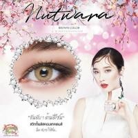 ราคา คอนแทคเลนส์ ลาย nutwara สีน้ำตาล ยี่ห้อ Sweety plus Dia 14.5 (7437777979)