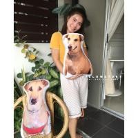 ราคา #463 หมอนสกรีนรูปภาพ​ #หมอนสกรีน​ หมอนรูปสัตว์​เลี้ยง​ สั่งเลยห้ามพลาด ของขวัญ​น่ารักหมอนนอนกอด​ #PILLOWSTORY (9554418587)