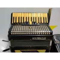 ราคา แอ๊คคอเดี้ยนGoldencup 34คีย์ 60เบส (10795454123)