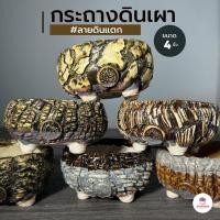 ราคา กระถางดินเผา ลายดินแตก 4 นิ้ว กระถางต้นไม้ ไม้อวบน้ำ กุหลาบหิน cactus&succulent หลากหลายสายพันธุ์ (28950147641)