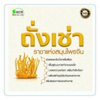 ราคา ถั่งเช่า ชาเห็ดถั่งเช่าสีทองแท้100% (20413774901)