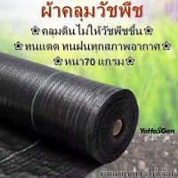 ราคา พลาสติกคลุมดินป้องกันวัชพืช พลาสติกคลุมดิน ป้องกันวัชพืช ผ้าคลุมวัชพืช พลาสติกคลุมดิน พลาสติกคลุมหญ้า ฆ่าหญ้า (22117067853)