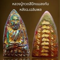 ราคา หลวงปู่ทวดเนื้อแร่เหล็กดูดสีปีกแมลงทับหลังฉ.เฉลิมพล,หลวงปู่ทวด (25586533471)