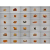 ราคา gobi agate candy gobi agate โกบีอาเกต อาเกตแบบธรรมชาติ ชุดที่1 (23035115744)