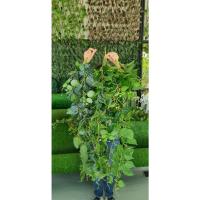 ราคา ช่อใบไม้เสมือนจริง เกรดดีเยี่ยม ยาว120cm. มี3ชนิด ทำสวนแนวตั้ง แต่งบ้าน แต่งร้าน ช่อไม้เทียม ทำแจกัน กระเช้า กระถาง (3061900223)