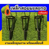 ราคา เหล็กสอยมะละกอ ตะกร้อสอยมะละกอ งานเหล็กอย่างดี พร้อมเคลือบสี (22264446327)