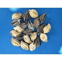 ราคา ว่านพญาเล็บครุฑ 2สีให้เลือก ป้องกันคุณไสย์เกี่ยวเงินทองเข้าบ้าน ว่านพญาเล็บครุฑ กระจับเงินกระจับทอง ดอกเล็บครุฑ (25569377403)