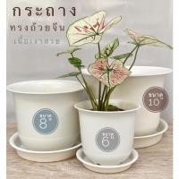 ราคา กระถางต้นไม้ 6 นิ้ว 8 นิ้ว 10 นิ้ว กระถางทรงจีน กระถางพร้อมจาน กระถางสีขาว กระถางมินิมอล กระถางถ้วยจีน กระถางพลาสติก (15805340041)