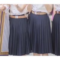 ราคา กระโปรงนักศึกษาพลีทสีกรม มือสอง ร้าน nisit (10978297697)