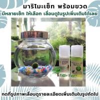ราคา มาริโมะ เซ็ทพร้อมขวดแก้ว Marimo ของแท้ 100% นำเข้าจากญี่ปุ่น #CC (12614321405)