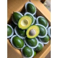 ราคา อโวคาโด บูท7 บูท8 บัคคาเนียร์ส พันธุ์พื้นเมือง คละสายพันธุ์ ขายเป็นกิโล (21936743237)