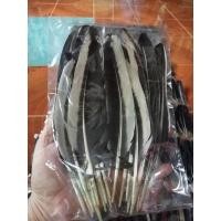 ราคา ปีกไก่ชน ปีกต่อ ไก่ชนระหว่างการเลี้ยงชน (ซ้าย-ขวา) 100เส้น (19145661959)