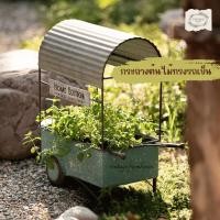 ราคา Vintage Farmhouse - กระถางต้นไม้ กระถางต้นไม้แต่งสวนสไตล์วินเทจ กระถางเหล็ก (29116465289)