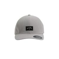 ราคา BILLABONG หมวกแก๊ปสำหรับผู้ชาย A/DIV Flexfit Delta Carbon Cap 234 UBYHA00231-SIL (27716280990)