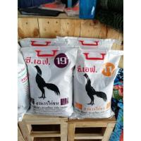ราคา อาหารไก่ชน CF ซี เอฟ (5kg) สำหรับไก่ชนอายุ 3-10 เดือน (3427767204)