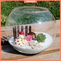 ราคา แจกันแก้วใส ทรงกลม ขนาด 8 ซม. 10 ซม. 12 ซม. 15 ซม. แบบสร้างสรรค์ สําหรับตกแต่ง (22462401501)