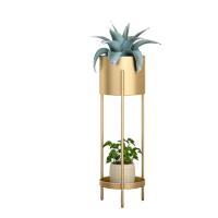ราคา DELICATO ชั้นวางกระถางต้นไม้ รุ่น TY03GD ขนาด 23*23*75.5ซม. สีทอง (20874305079)