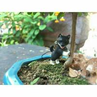 ราคา พวงกุญแจหมาชิบะ (3654884)