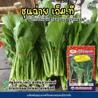 ราคา เมล็ดผักกาดเขียวชุนฉ่าย เอ็ม.ที Tempara Chinese เมล็ดผักกาดเขียว เมล็ดชุนฉ่าย เมล็ดผักสวนครัว ตราภูเขาทอง (3758984292)