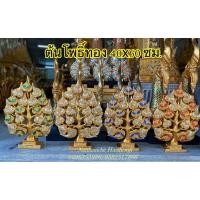 ราคา ต้นโพธิ์ทอง ต้นโพธิ์เงิน (3853202300)