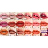 ราคา ลิปแมทชมนิต้า Chomnita (12222551689)