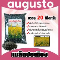 ราคา เมล็ดพันธุ์ปอเทือง บรรจุ 20กิโลกรัม เมล็ดปอเทือง พันธุ์ปอเทือง เม็ดพันธุ์ปอเทือง ดอกปอเทือง เม็ดปอเทือง ต้นปอเทือง (29315471677)