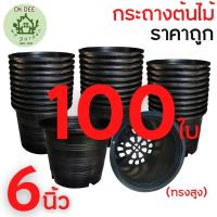 ราคา เซต 100 ใบ กระถางต้นไม้ พลาสติกดำ กระถางพลาสติก ขนาด 6 นิ้ว สีดำ (15319848806)