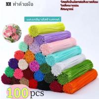 ราคา "จัดส่งภายใน 24 ชม. กรุงเทพฯ" 100 ชิ้น ด้ายกำมะหยี่บิด ก้าน Chenille งานฝีมือDIYเพื่อการศึกษา สำหรับเด็ก แท่งบิด กำมะหยี (25981143057)