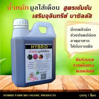 ราคา น้ำหมักมูลไส้เดือน ผสมจุลินทรีย์บาซิลลัส 1 ลิตร (5075336079)