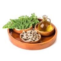 ราคา เซรั่มมะรุมสกัดเย็นแท้100% (13068386839)