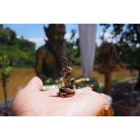 ราคา รูปปั้นปู่ศรีสุทโธพญานาคจิ๋ว เนื้อทองเหลือง ขนาด 4 เซน (11459763968)