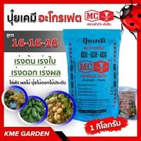ราคา ปุ๋ยเคมี สูตร 16-16-16 ตราหัววัวคันไถ 1 กิโล ปุ๋ยเร่งต้น เร่งใบ เร่งดอก เร่งผล ใส่ผัก ผลไม้ ปุ๋ยไม้ดอกไม้ประดับ (4397172135)