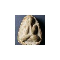 ราคา พระปิดตา ทั่วไป 048 พระปิดตาเนื้อผง หลังหนุมาน หลวงปู่เกลี้ยง วัดเนินสุทธาวาส (24353574040)