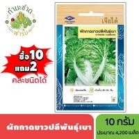 ราคา เจียไต๋ (ซื้อ10แถม2) เมล็ดพันธุ์ ผักกาดขาวปลีพันธุ์เบา ขนาด10กรัม ประมาณ4,270เมล็ด Chinese Cabbage ผักกาดขาว เมล็ดพันธุ์ (7117924123)