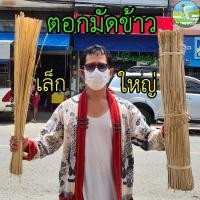 ราคา ตอก ตอกมัดข้าว ยาว 75-80 เซน 100 เส้น ตอกมัดข้าว ตอกมัดผัก ตอกมัดกระสอบข้าว เหนียว มัดของ มัดข้าว (25168820861)