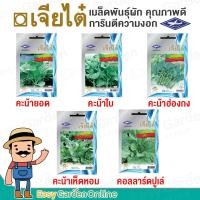 ราคา เจียไต๋ ผักซอง เมล็ดพันธุ์ผัก (ผักสายพันธุ์ทั่วไป) คะน้ายอด คะน้าใบ คะน้าฮ่องกง คะน้าเห็ดหอม คอลลาร์ดปูเล่ (8644113838)
