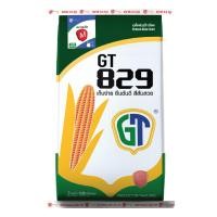 ราคา เมล็ดพันธุ์ข้าวโพดเลี้ยงสัตว์ GT 829/M (3.5หุน) Hybrid seeds (Zea mays) Maize Seeds 10 กิโลกรัม (22318880467)