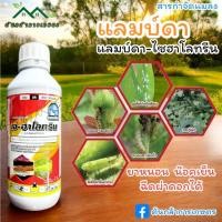 ราคา แลมด้า ฉลาม 1 ลิตร แลมบ์ดาไซฮาโลทริน สารกำจัดแมลง หนอน เพลี้ย ยาเย็น ผ่าดอกได้ เจฮาโลทริน (29452948362)