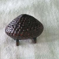 ราคา เบี้ยเเก้ ปู่เจือ ลูกใหญ่ (19104595350)