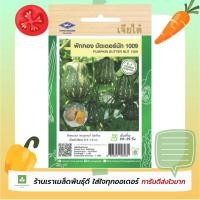 ราคา ฟักทอง บัตเตอร์นัท เจียไต๋ เมล็ดพันธุ์บัตเตอร์นัท butternut (913428212)