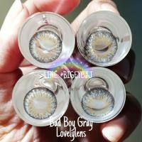 ราคา (บิ๊กอาย ตาโต)Bad boy Gray - Lovelylens คอนแทคเลนส์ รุ่นตาหวาน สีเทา ทรีโทน (17024236766)