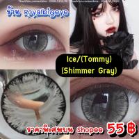 ราคา คอนแทคเลนส์ Ice/Tommy/Shimmer Gray ลายเกล็ดน้ำแข็ง/เกล็ดหิมะสีเทาขนาดตาโต มีสายตาถึง -6.00 (9656767584)