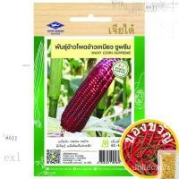 ราคา ข้าวโพดข้าวเหนียว ซูพรีม Waxy Corn Supreme เมล็ดพันธุ์เจียไต๋ โฮมการ์เด้น F1 Hybrid จำนวนเมล็ด (ประมาณ) 35 เมล็ด 1XDO (23917165947)
