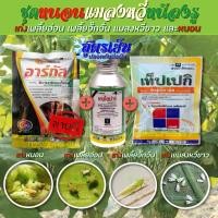 ราคา กำจัดหนอน แมลงหวี่ 100 ซีซี เพลี้ยจักจั่น เพลี้ยอ่อน เพลี้ยไฟ เพลี้ยไก่แจ้ แมลงหวี่ขาว คูลเกษตร Kl76 (26406179632)