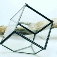 ราคา Terrarium glass โหลแก้ว ทรงเรขาคณิต (83021838)