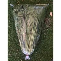 ราคา หญ้าขนสดเลี้ยงหนูแกสบี้/กระต่าย/เต่า (15973116673)