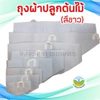 ราคา ถุงผ้าปลูกต้นไม้สีขาว / ถุงปลูก / กระถางผ้าปลูกต้นไม้ / ถุงปลูกต้นไม้แบบผ้า ขนาดเล็ก (25559127769)